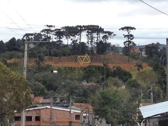 #1904 - Área para Venda em Cotia - SP - 3