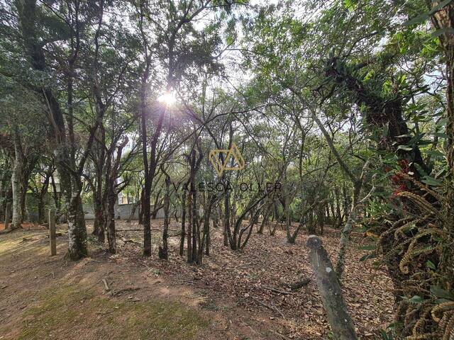 #2728 - Terreno para Venda em Cotia - SP - 1