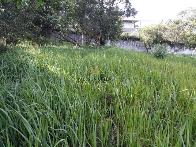 Terreno para Venda em Cotia - 4