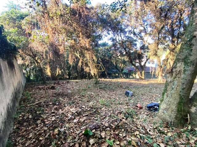 #3228 - Terreno para Venda em Cotia - SP - 3