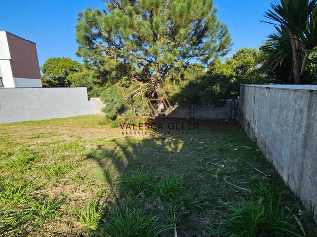 #3264 - Terreno para Venda em Carapicuíba - SP - 3