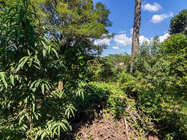 #3856 - Sala para Venda em Santana de Parnaíba - SP - 2