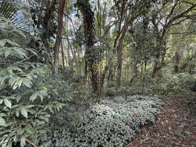 #3858 - Terreno para Venda em Carapicuíba - SP - 1