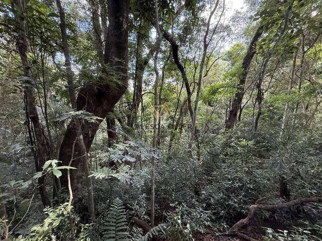 Terreno para Venda em Carapicuíba - 5