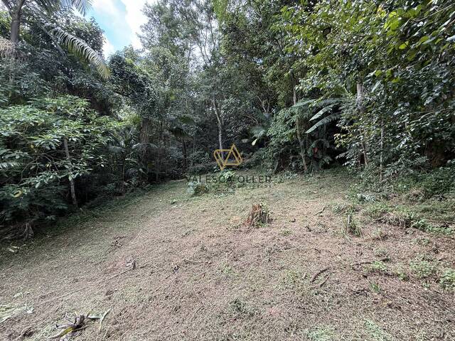 #3858 - Terreno para Venda em Carapicuíba - SP - 2